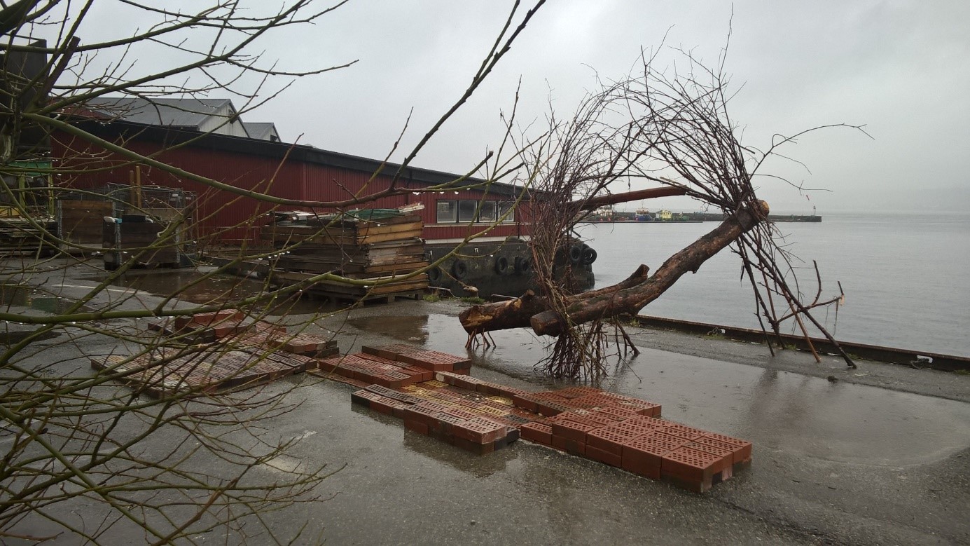 Vacancies at Bergen School of Architecture