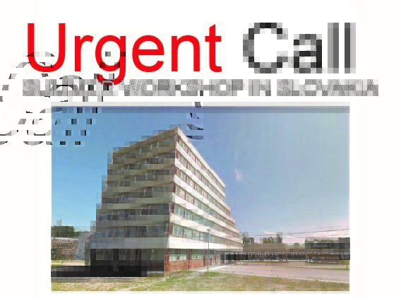 Urgent call: Summer workshop in Bratislava