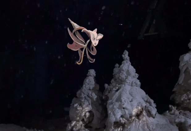 BAS projects finalists in the Lisbon Triennale