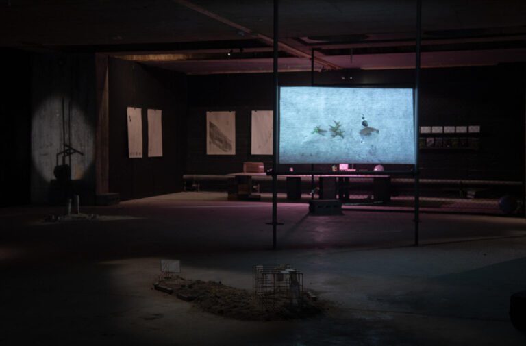 installation view
